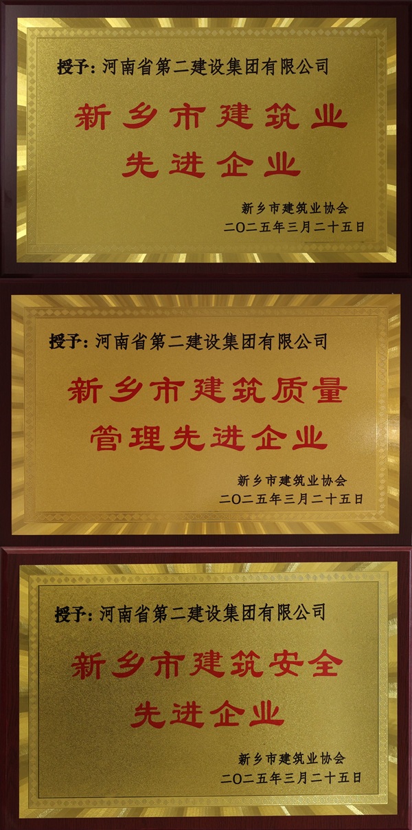 乐鱼官网奖牌拼图.jpg